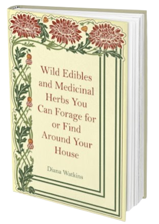 The Home Doctor Book Bonus 1