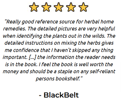 The Lost Book of Remedies Customer Reviews